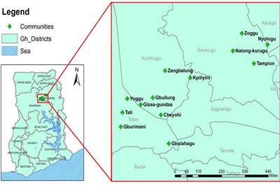 Impact of haemoglobinopathies on asymptomatic Plasmodium falciparum infection and naturally acquired immunity among children in Northern Ghana